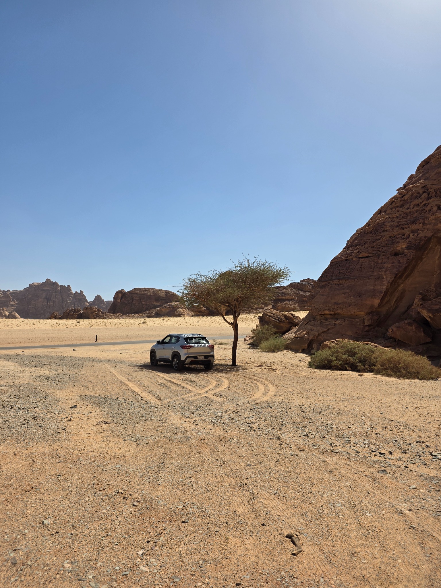 Una parada con el auto entre roca, arena y una solitaria acacia.
