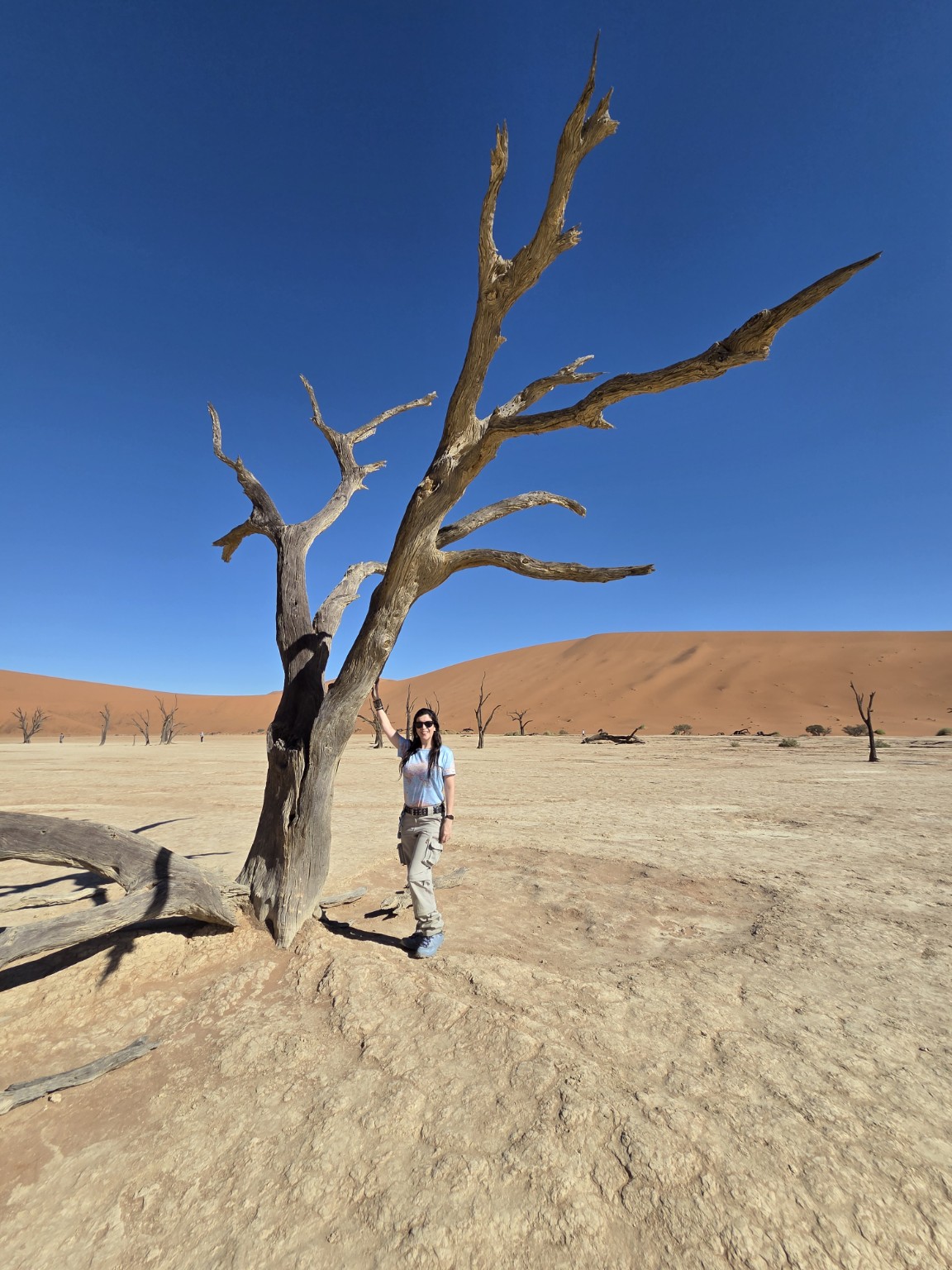 Los árboles secos y las dunas de Deadvlei.