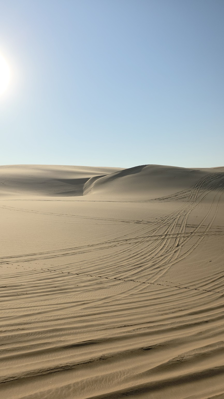 El recorrido en 4x4 por las dunas de Sandwich Harbour.